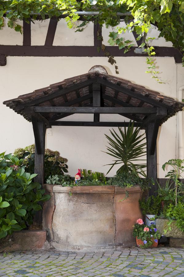 Hotel Zum Engel In Speyer - Roemerberg Berghausen  Ngoại thất bức ảnh